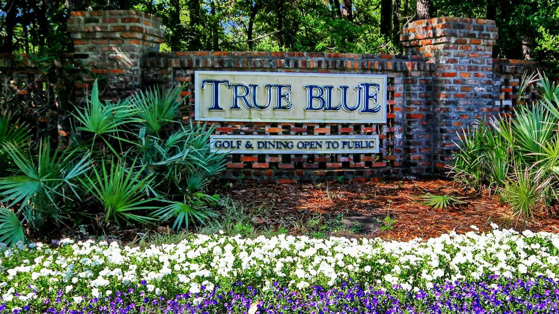 Apartment Palmetto Paradise, Sc Pawleys Island