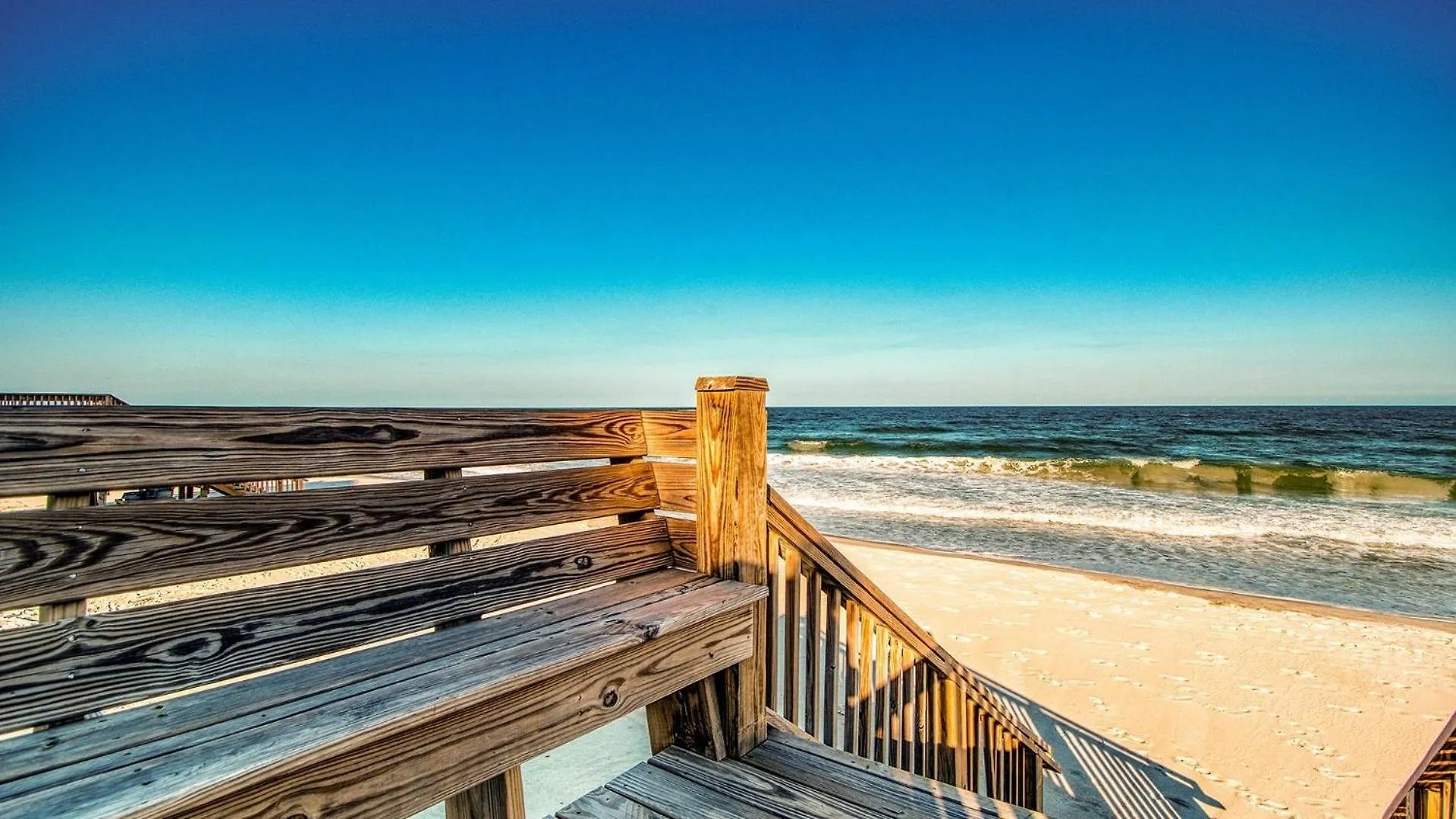 Seek A Higher Porpoise! Pawleys Island