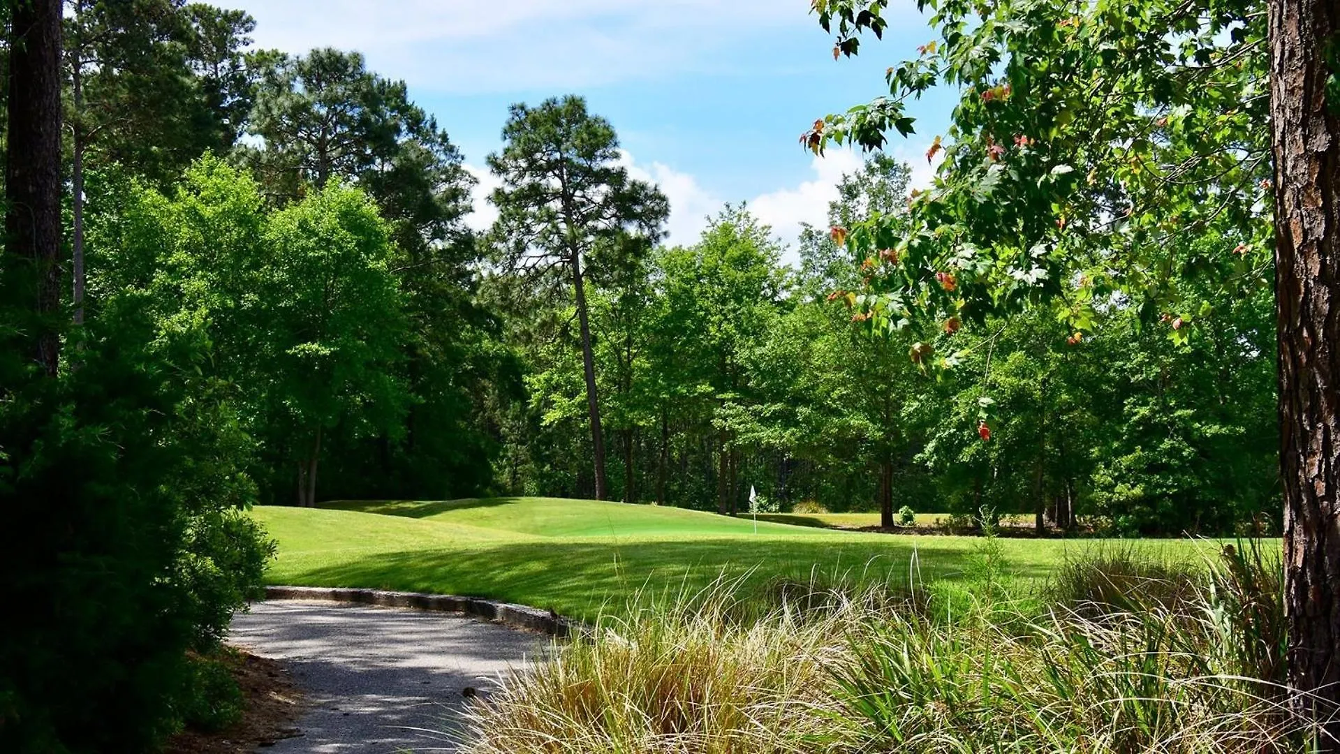 10th Hole Condo- Great Golf Getaway Apartment Pawleys Island