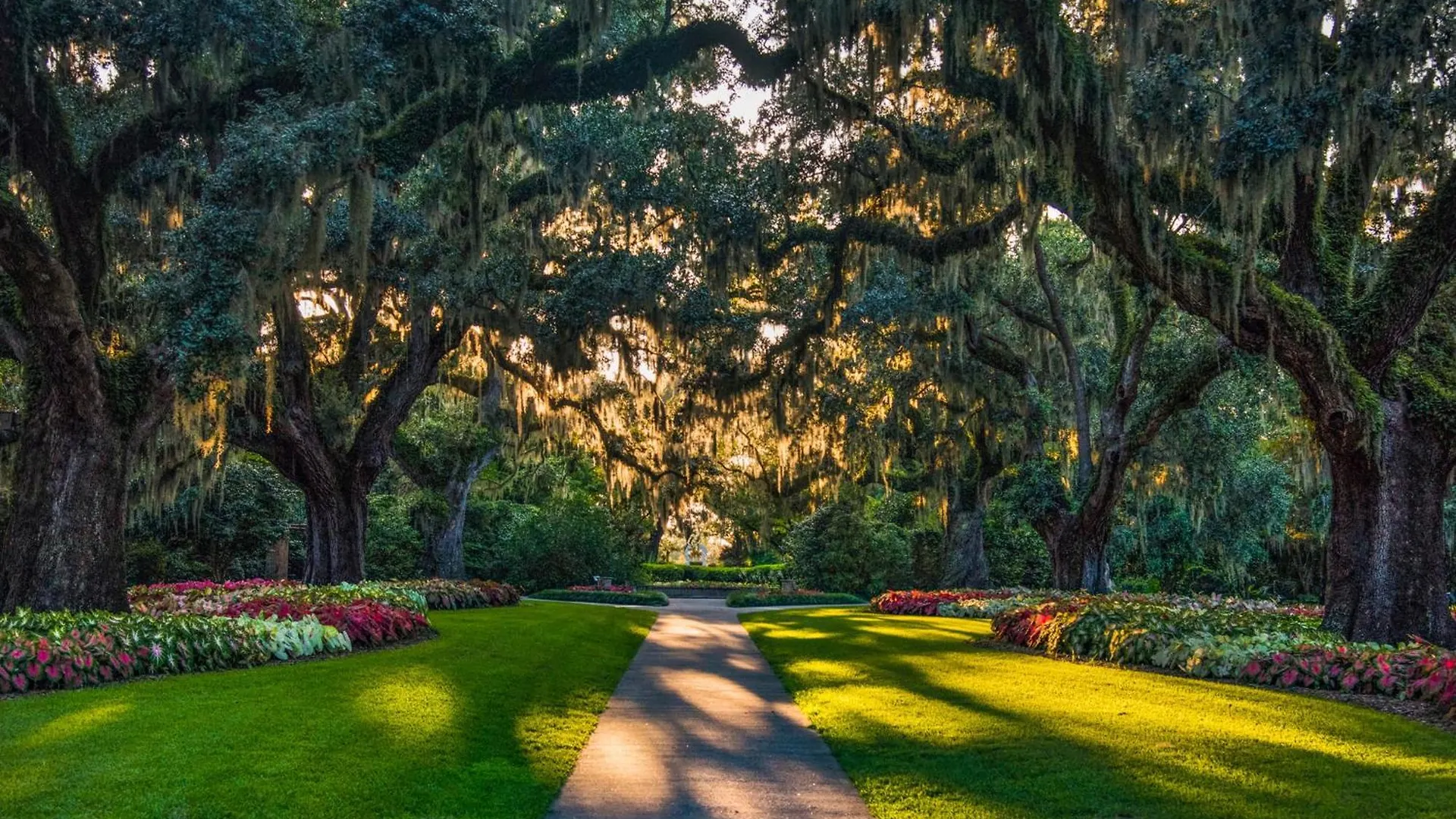 Palmetto Paradise, Sc * Pawleys Island