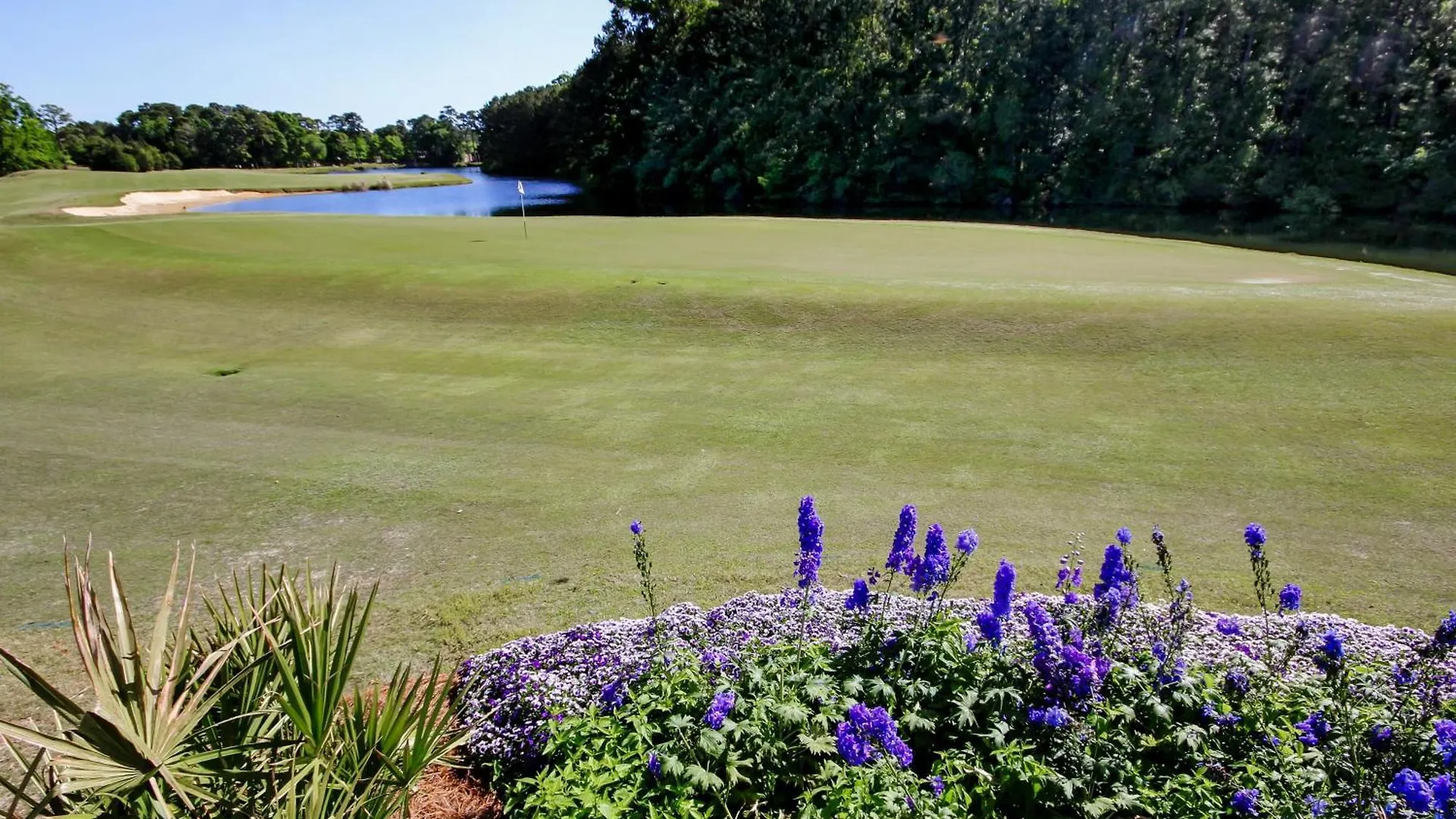 Palmetto Paradise, Sc